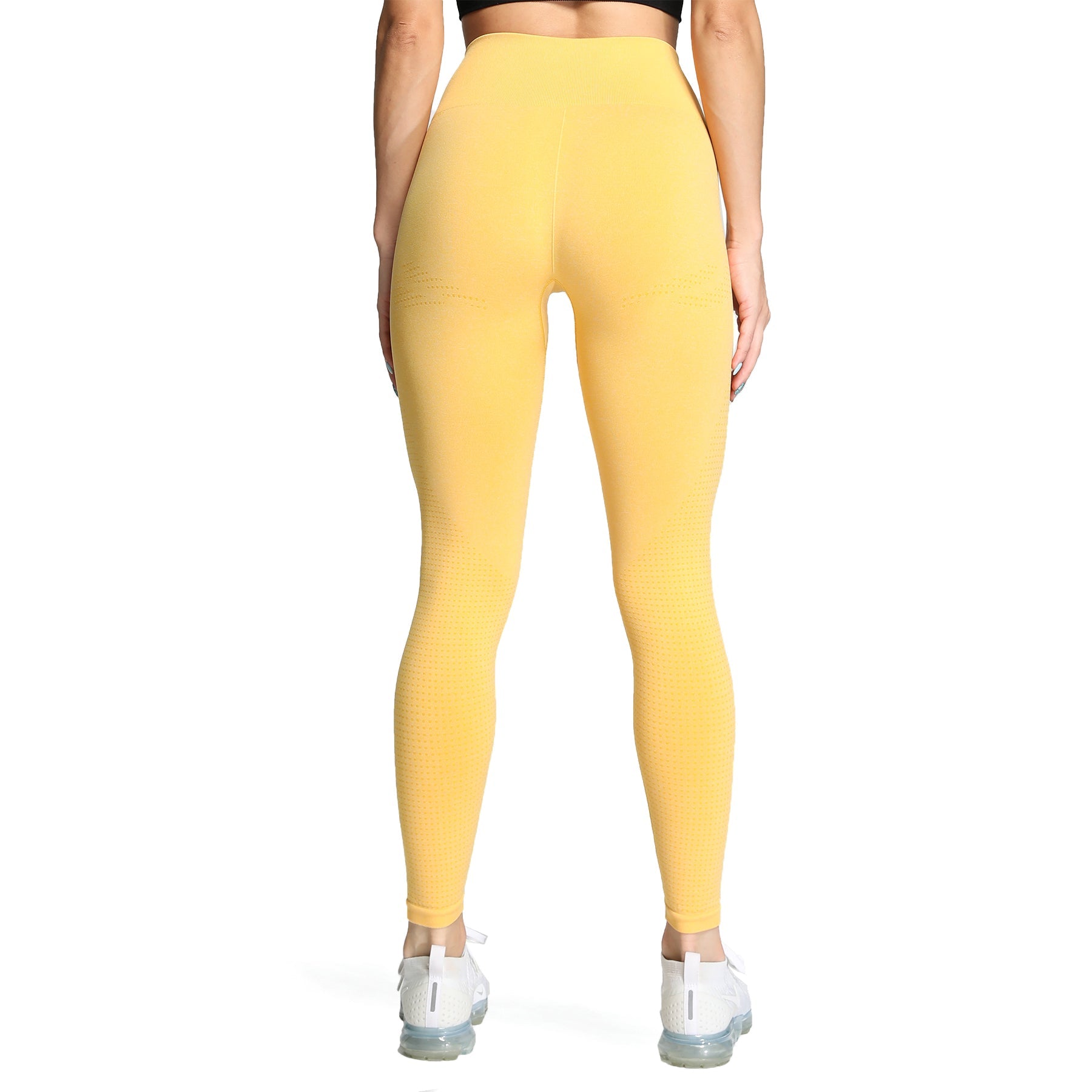 Aoxjox "Vital 2.0 / 3.0" Seamless Leggings