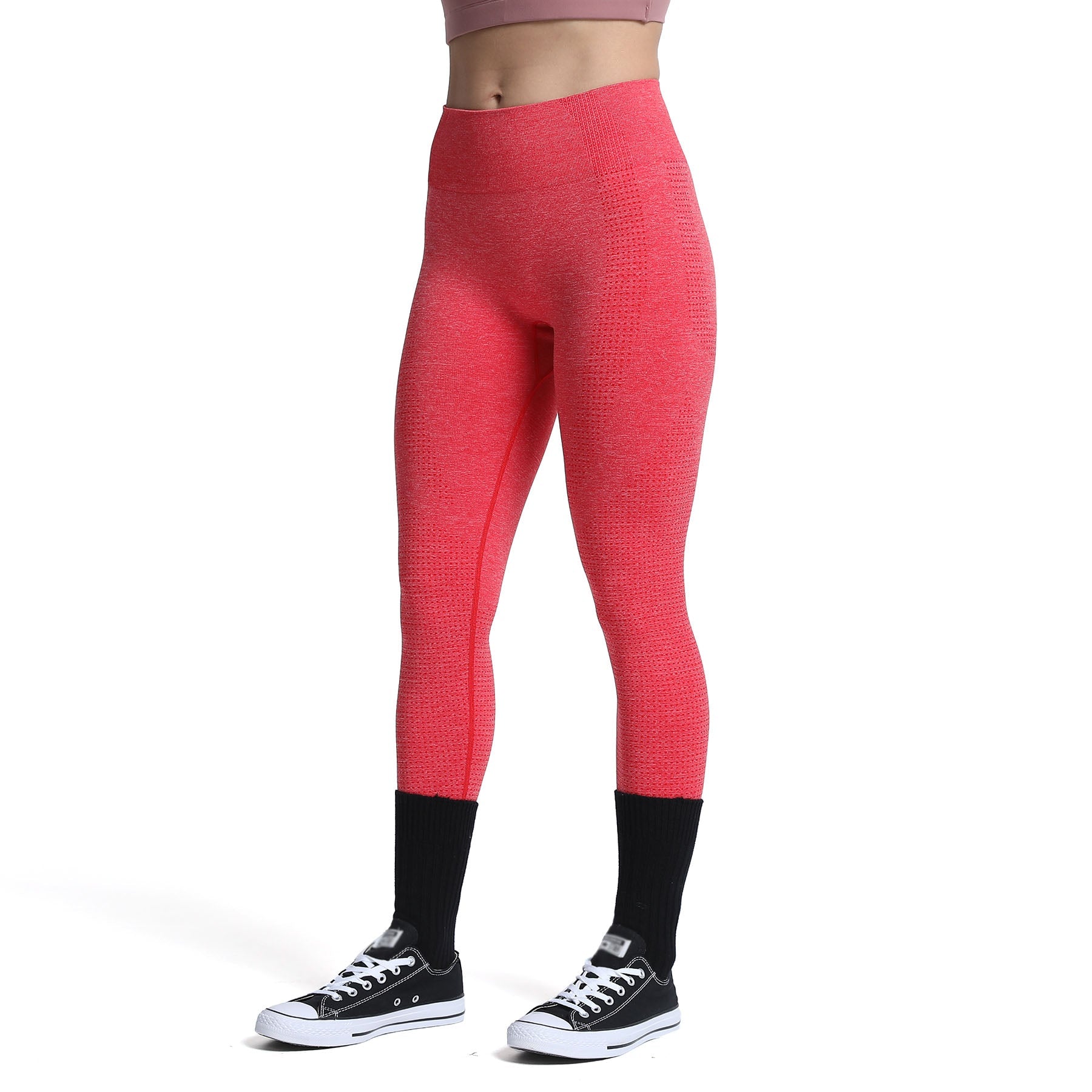 Aoxjox "Vital 2.0 / 3.0" Seamless Leggings