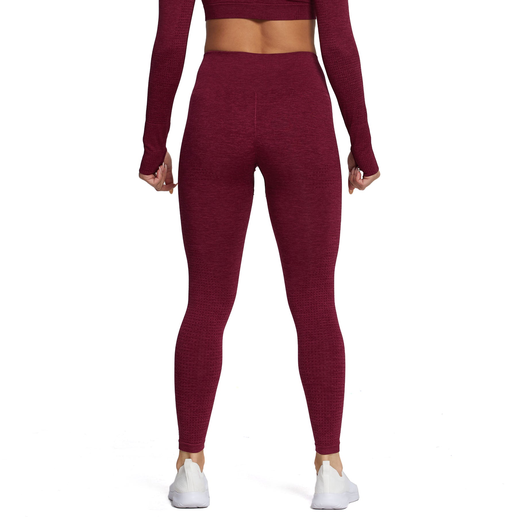 Aoxjox "Vital 2.0 / 3.0" Seamless Leggings
