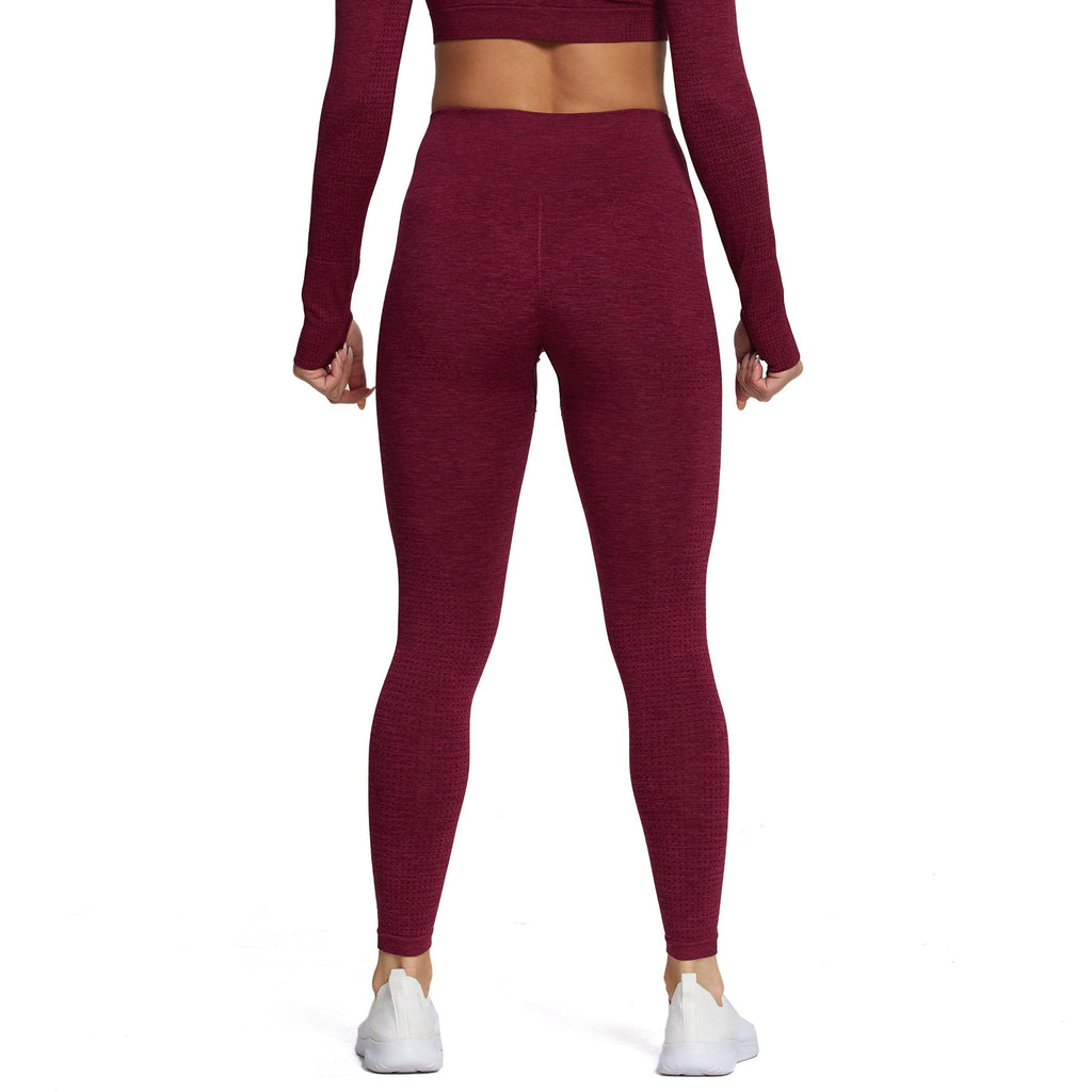 Aoxjox "Vital 2.0 / 3.0" Seamless Leggings