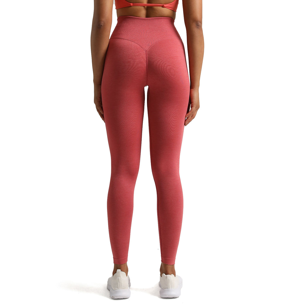 Aoxjox Deep V Seamless Leggings