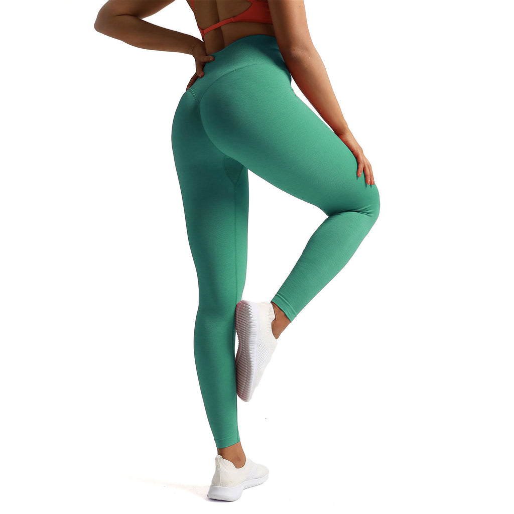 Aoxjox Deep V Seamless Leggings