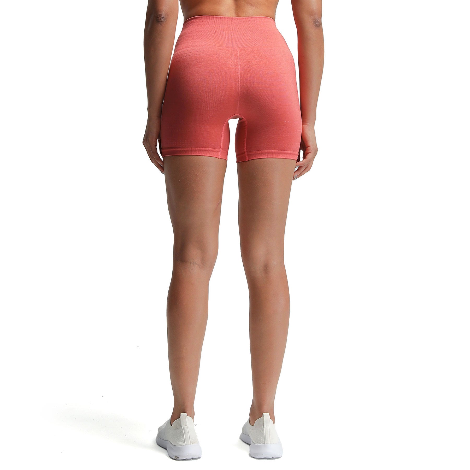 Aoxjox "Vital 2.0 / 3.0" Seamless Shorts