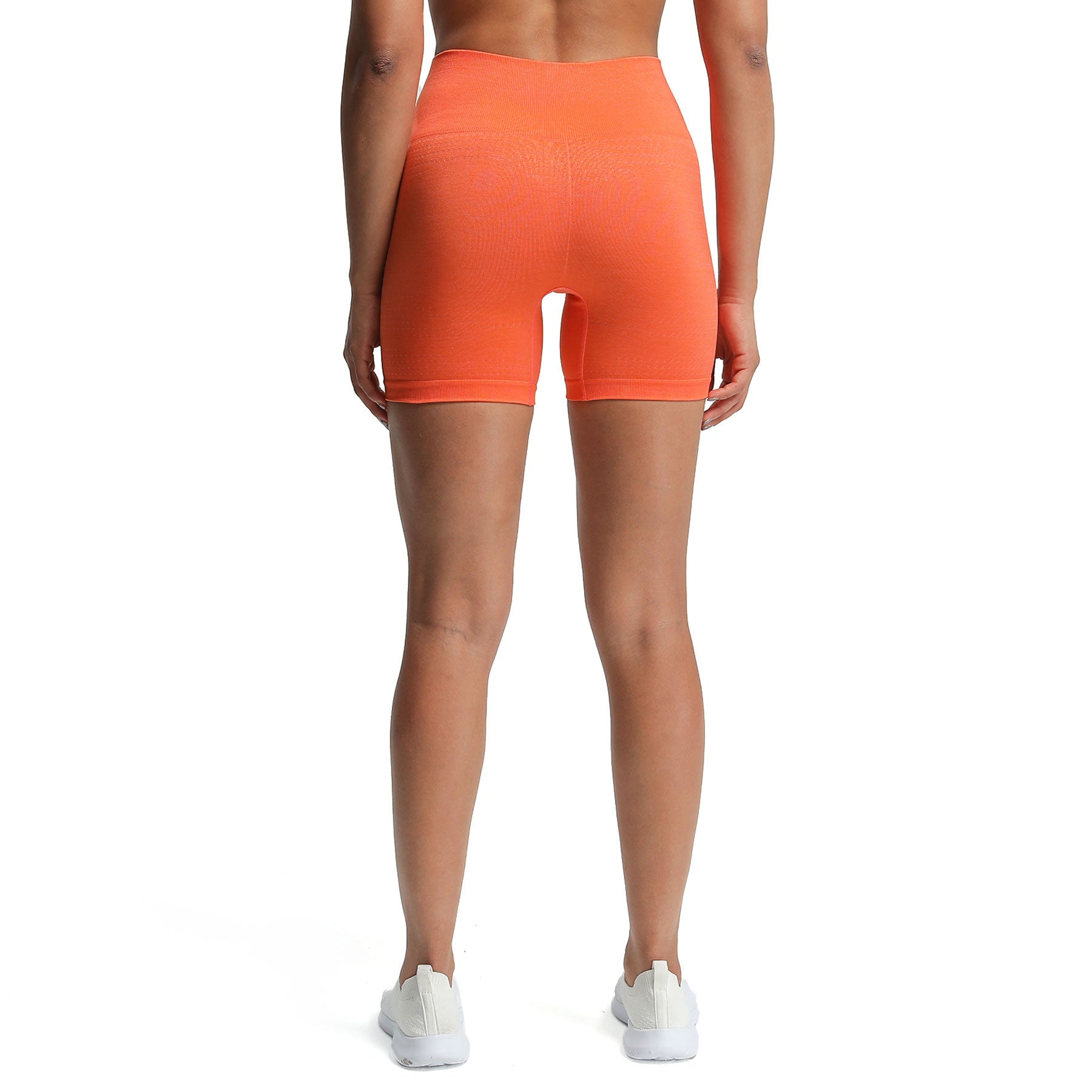 Aoxjox "Vital 2.0 / 3.0" Seamless Shorts