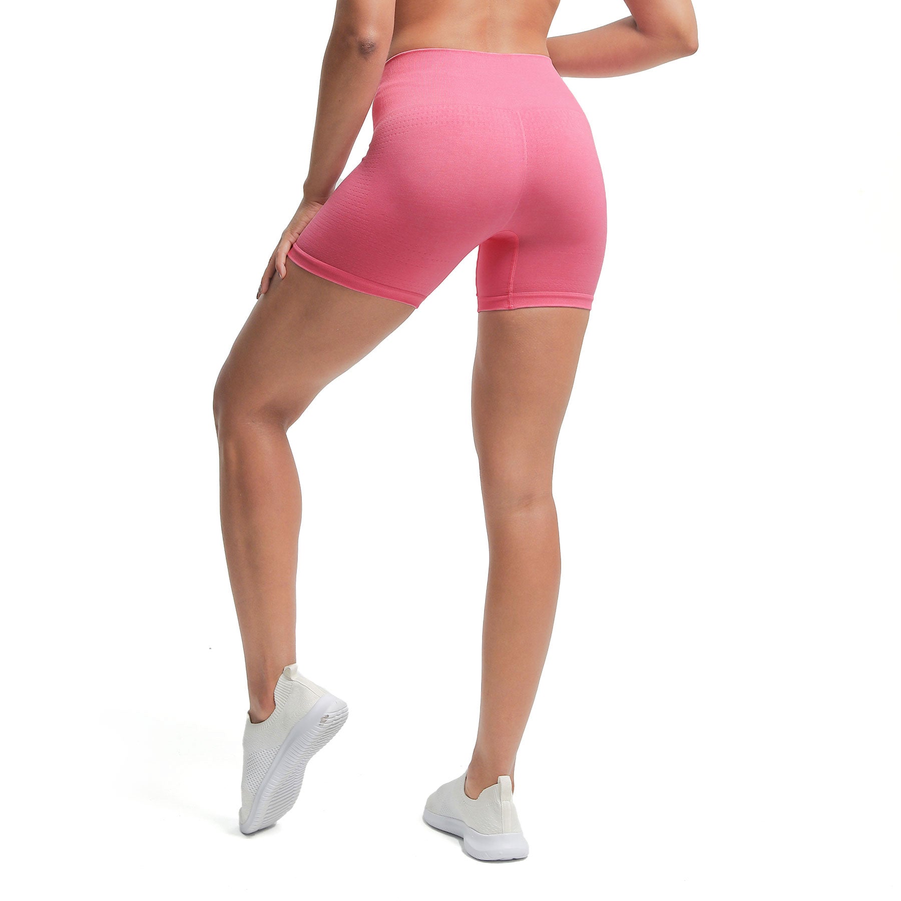 Aoxjox "Vital 2.0 / 3.0" Seamless  Shorts (CONT'D)