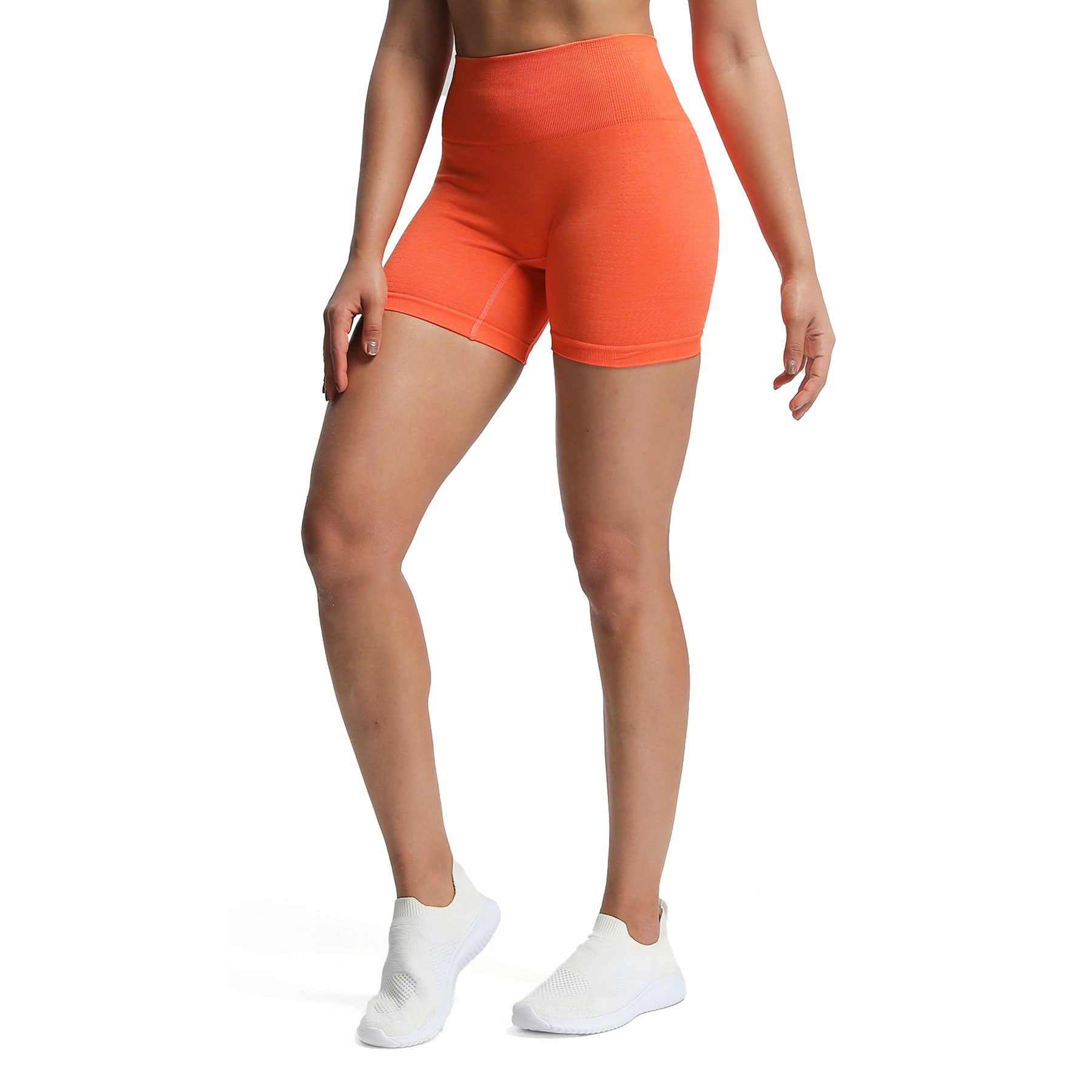 Aoxjox "Vital 2.0 / 3.0" Seamless Shorts