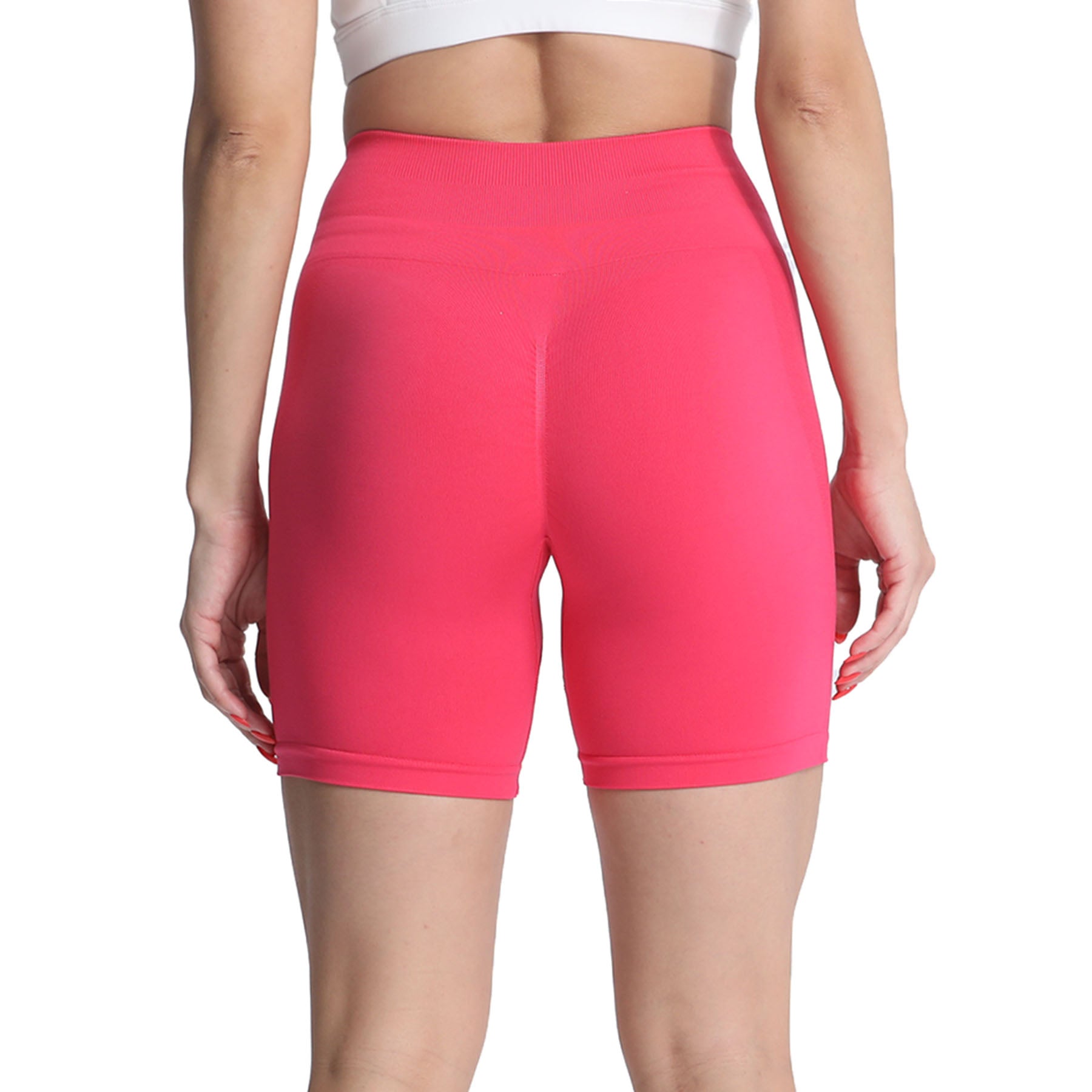 Aoxjox Asset 6" Seamless Scrunch Shorts (Brights)