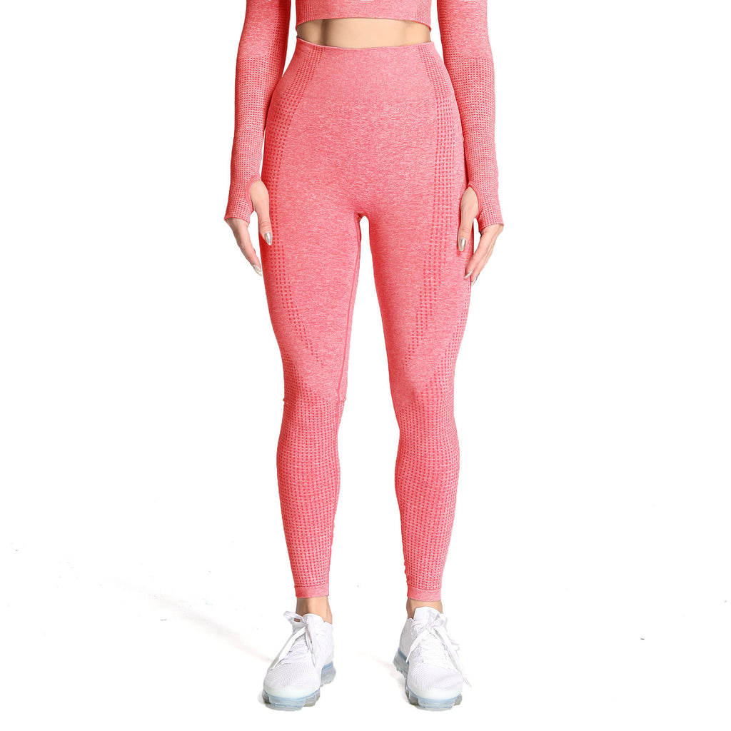 Aoxjox  Vital Seamless Leggings (Contd.)