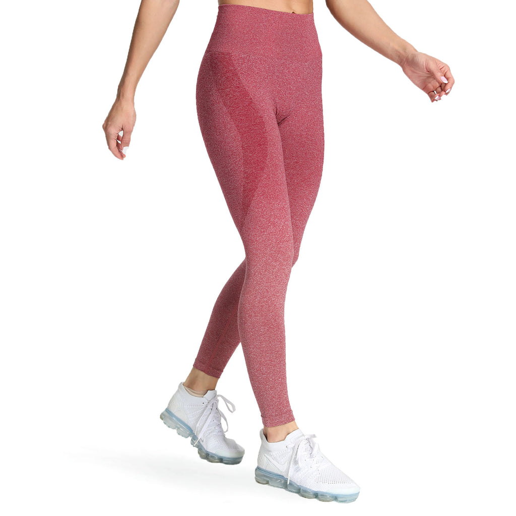 Aoxjox Smile Contour Ombre Seamless Leggings