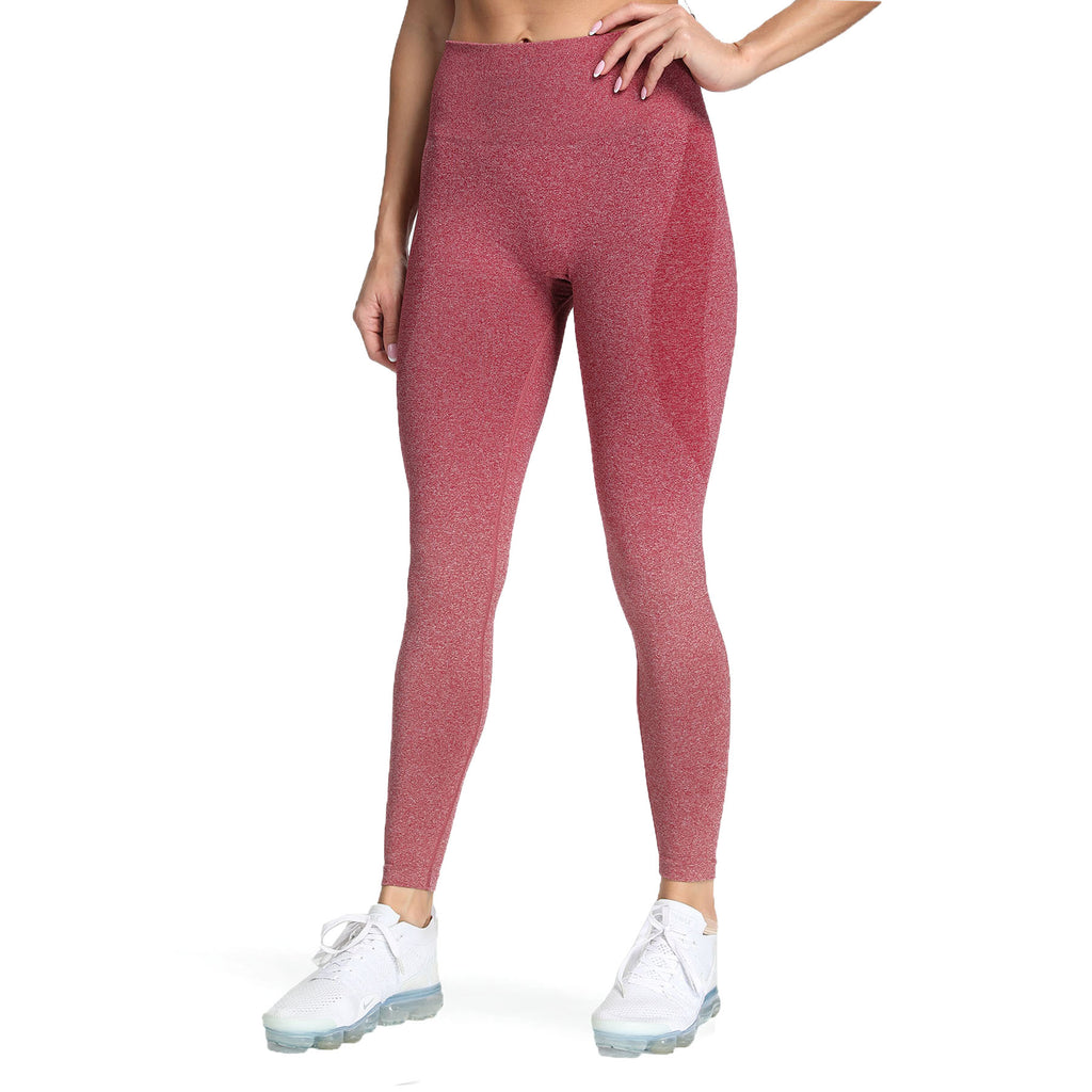 Aoxjox Smile Contour Ombre Seamless Leggings