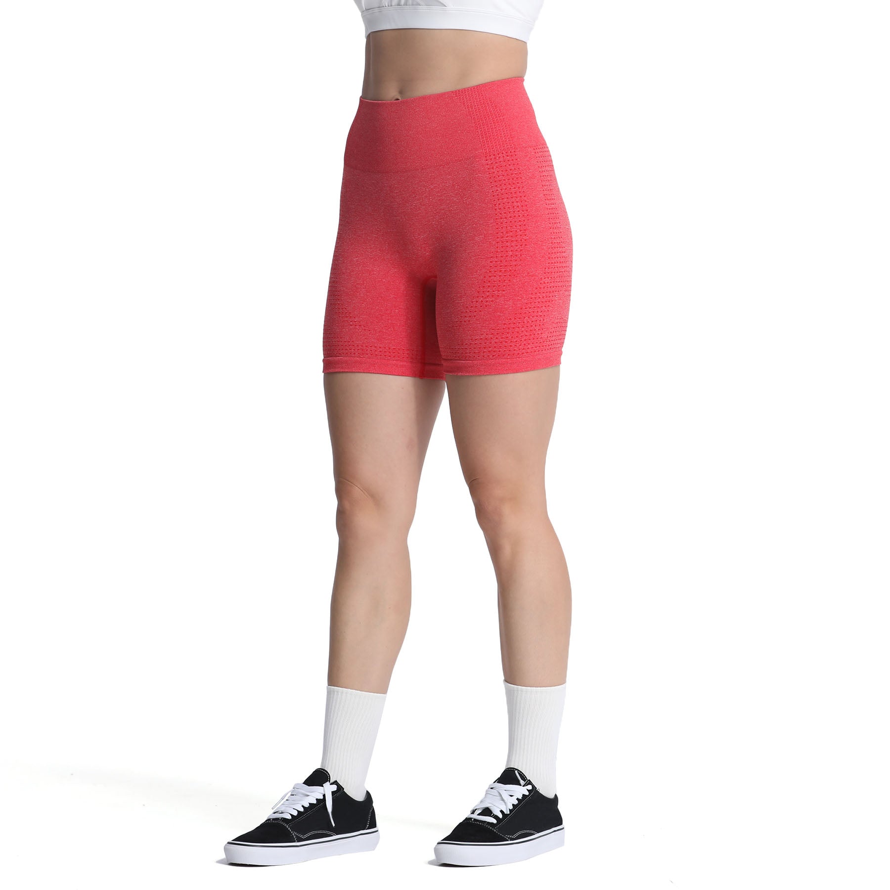 Aoxjox "Vital 2.0 / 3.0" Seamless Shorts