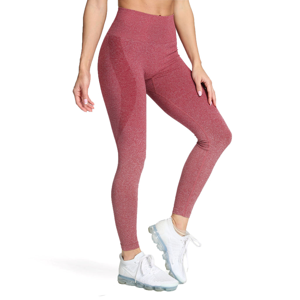 Aoxjox Smile Contour Ombre Seamless Leggings