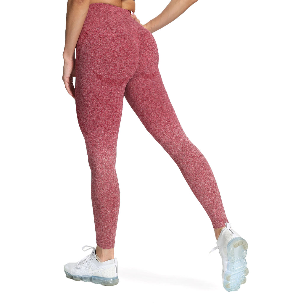 Aoxjox Smile Contour Ombre Seamless Leggings