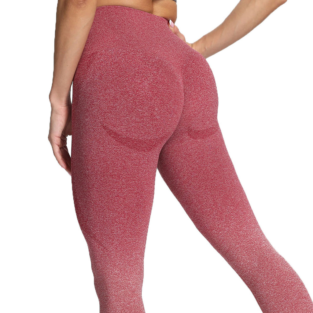 Aoxjox Smile Contour Ombre Seamless Leggings
