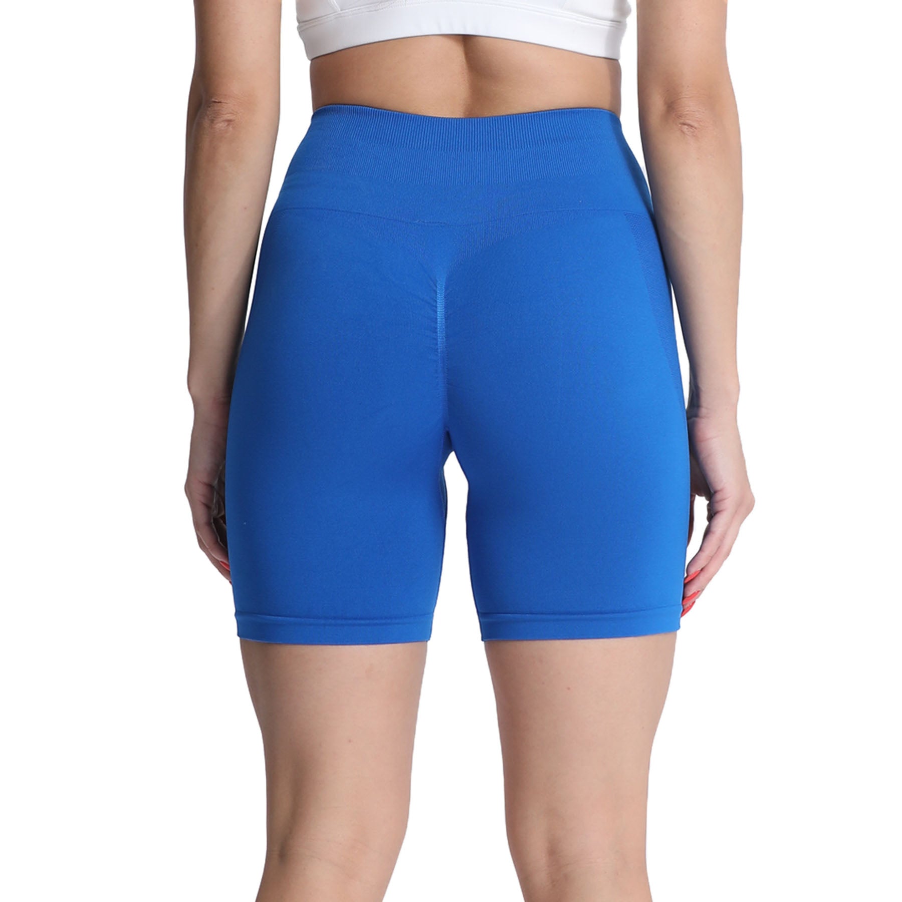 Aoxjox Asset 6" Seamless Scrunch Shorts (Brights)